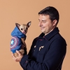 Picture of Marvel Captain America Dog Sweater | Cozy Superhero Dog Appa